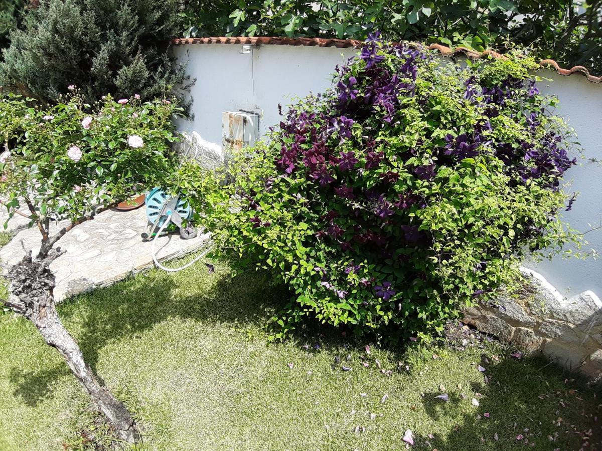 Guest Rooms Deva Burgas City Exterior foto